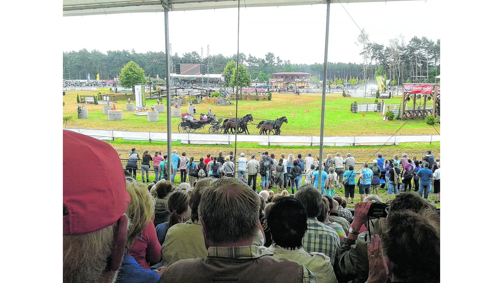 Zu den Kaltblütern nach Brandenburg (Foto: al)