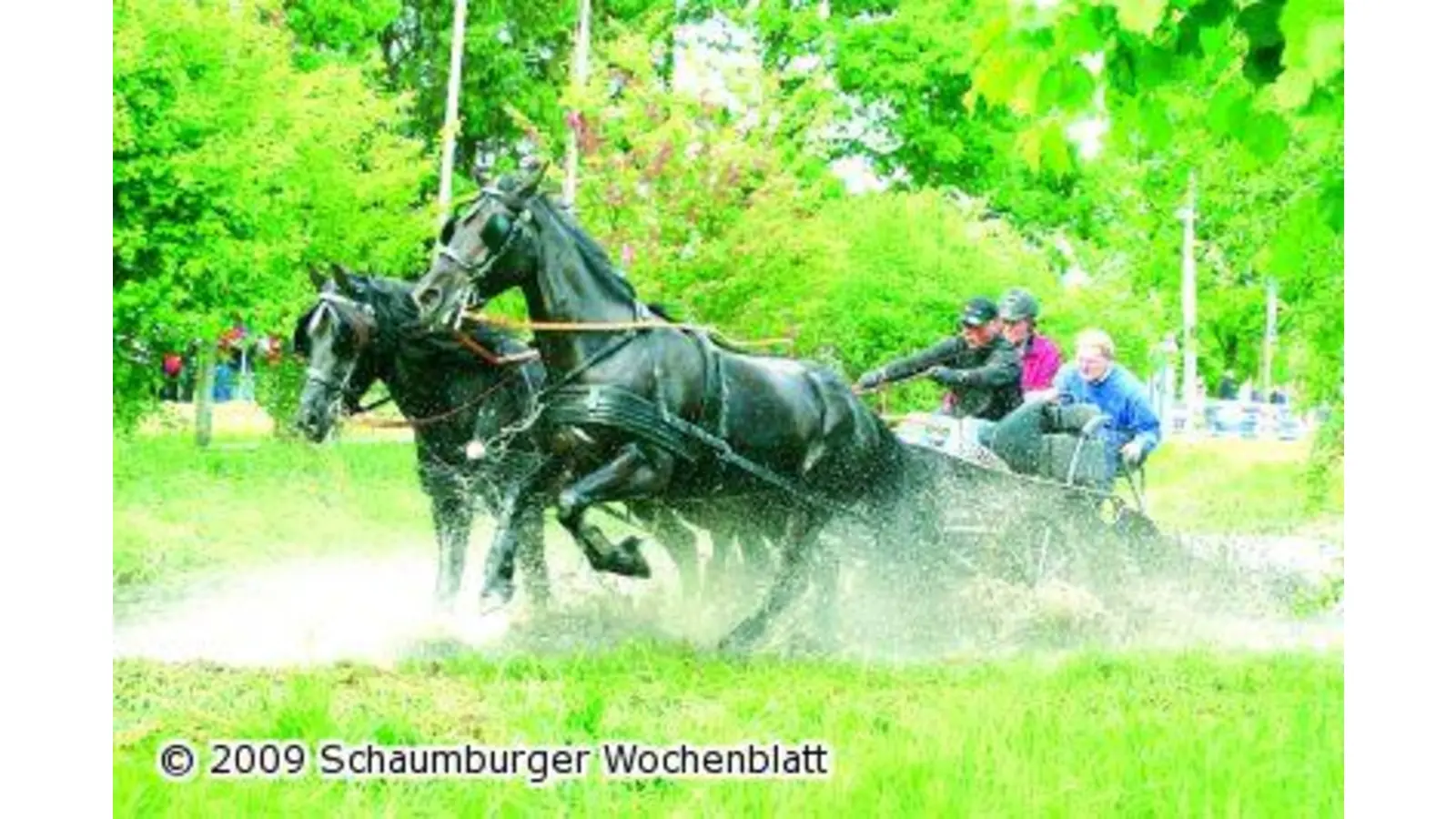 Hoher Aufwand zahlt sich aus (Foto: ih)