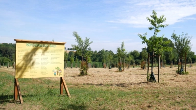 Die Streuobstwiese vom Kinderwald am Erlengrund. (Foto: gk)