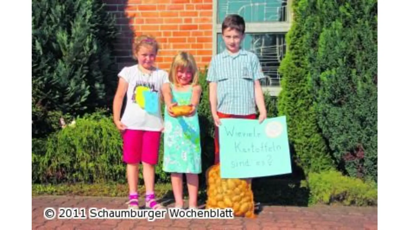 Spiel und Spaß mit der Monsterkartoffel (Foto: jl)