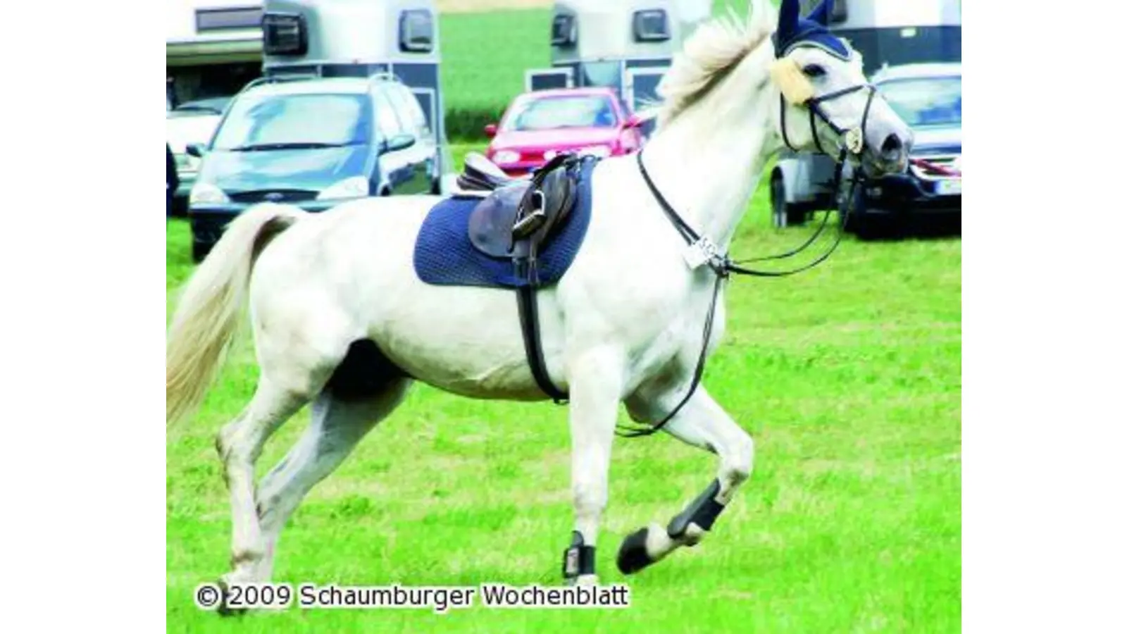 Trotz widriger Umstände ein perfekt organisiertes Reitturnier (Foto: red)