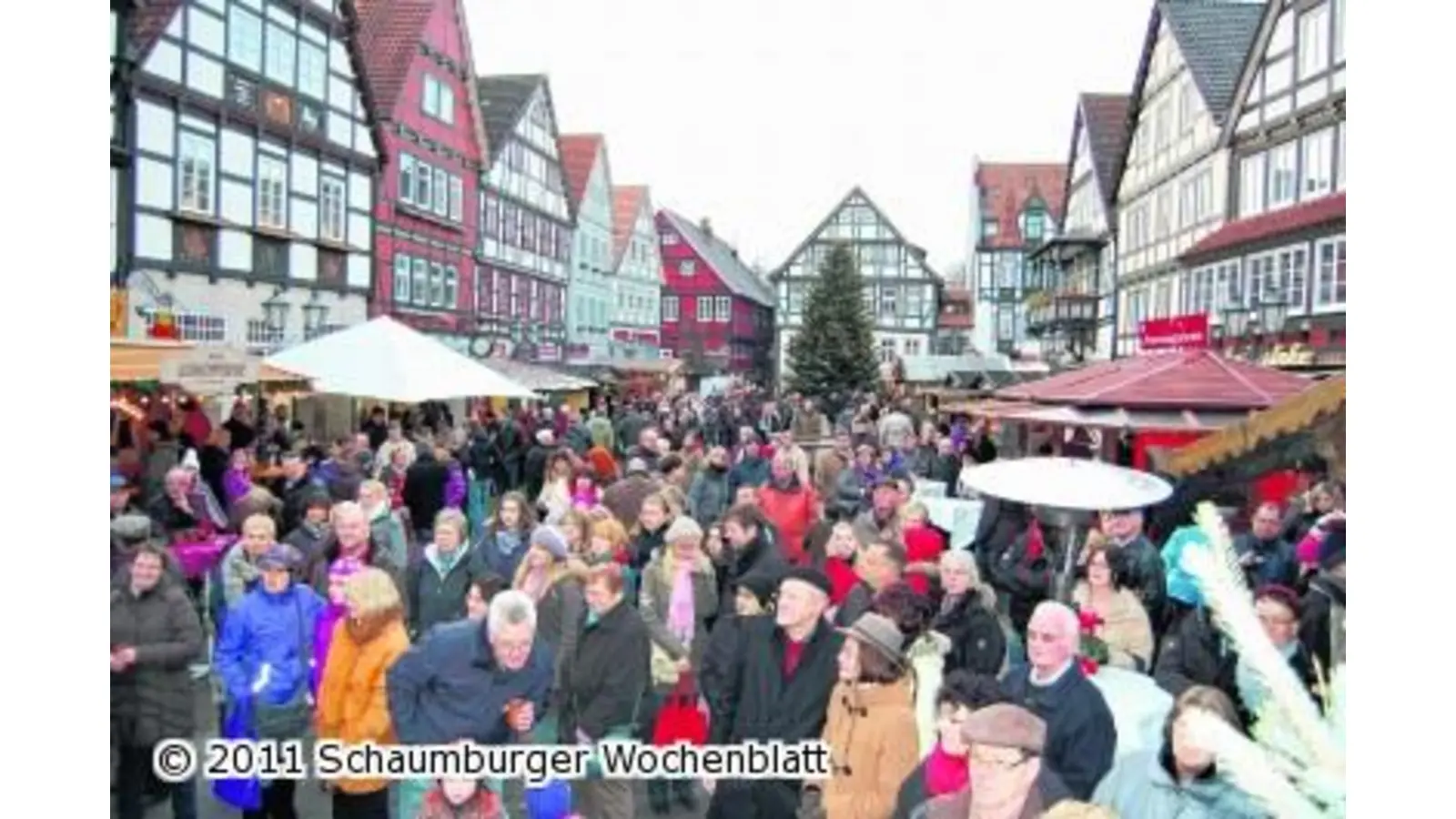 Mächtig Andrang zur Versteigerung (Foto: ste)