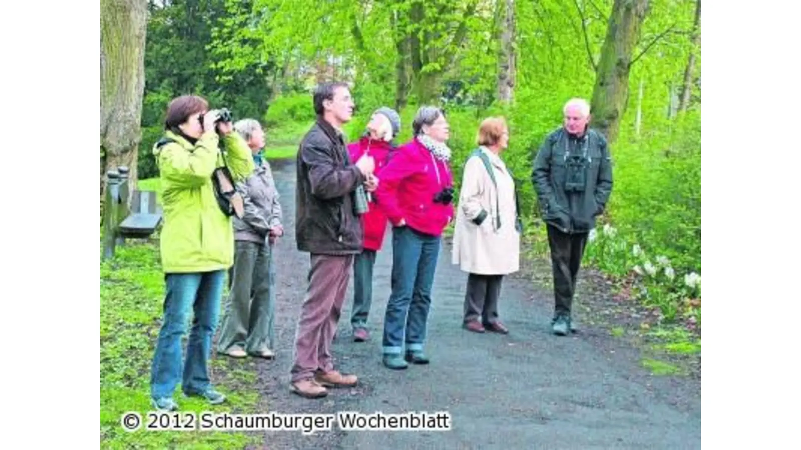 Spannender Gehörgang durch die Vogelwelt (Foto: ste)