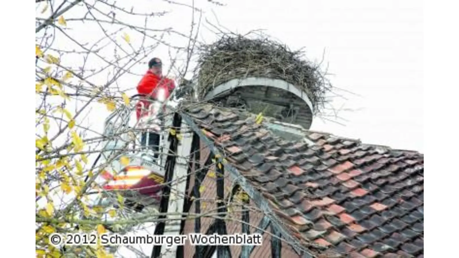 Störche sollen schmuckes Nest vorfinden (Foto: gi)