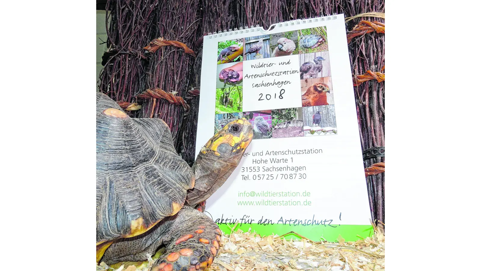 Kalender 2018 ist vorrätig (Foto: jb)