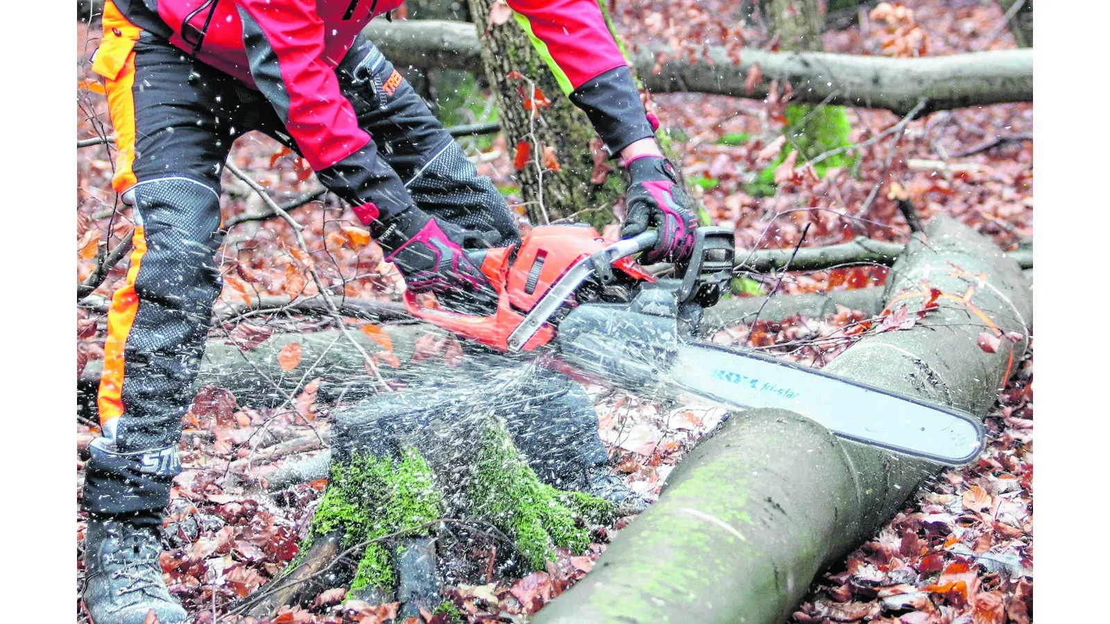 Der Kreistag verabschiedet die umstrittene Umweltschutzverordnung (Foto: bb)