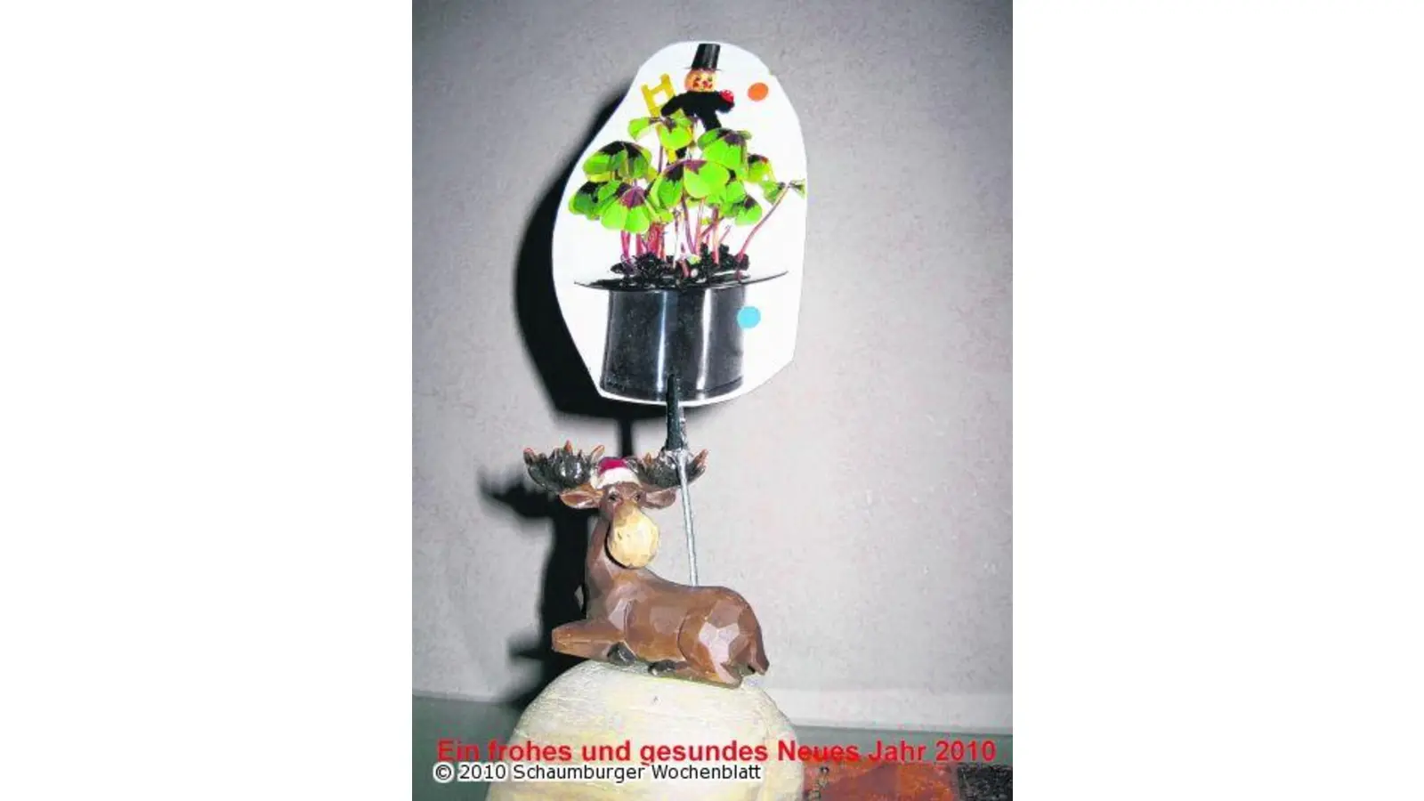 Allen ein frohes und gesundes Neues Jahr 2010 (Foto: red)