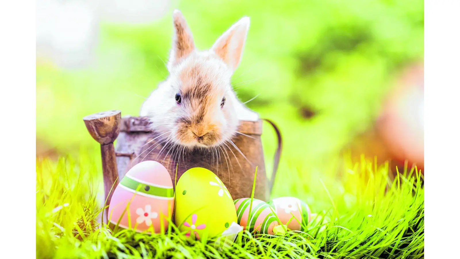 Ostern einmal anders feiern (Foto: mk)