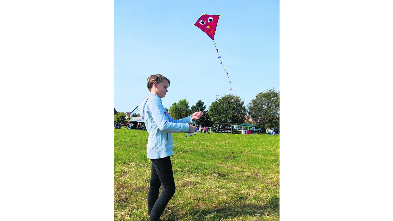 Drachen steigen über Hülsede (Foto: al)