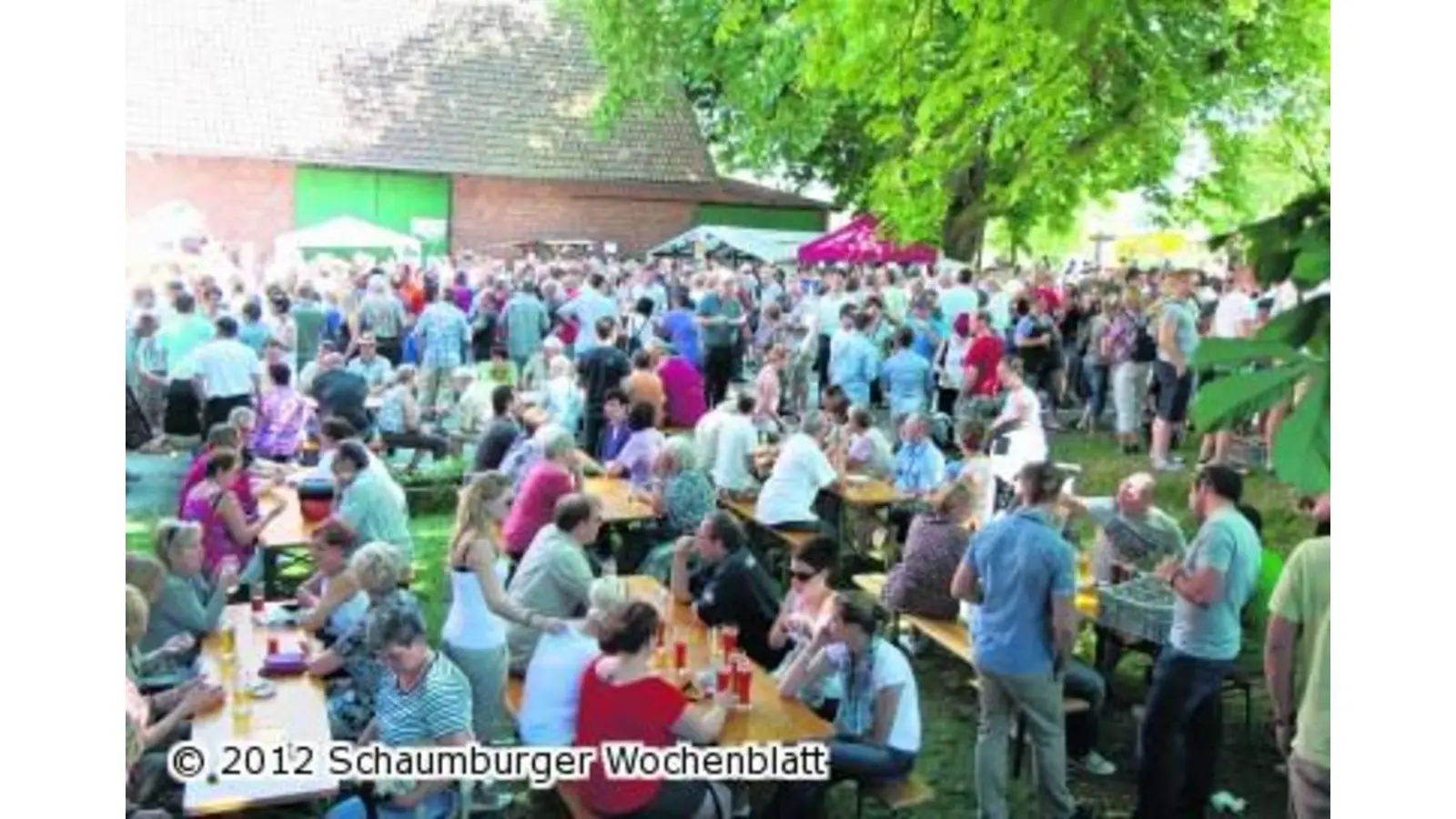 Gäste genießen gekühltes Meierhöfer im Schatten der alten Kastanienbäume (Foto: bb)