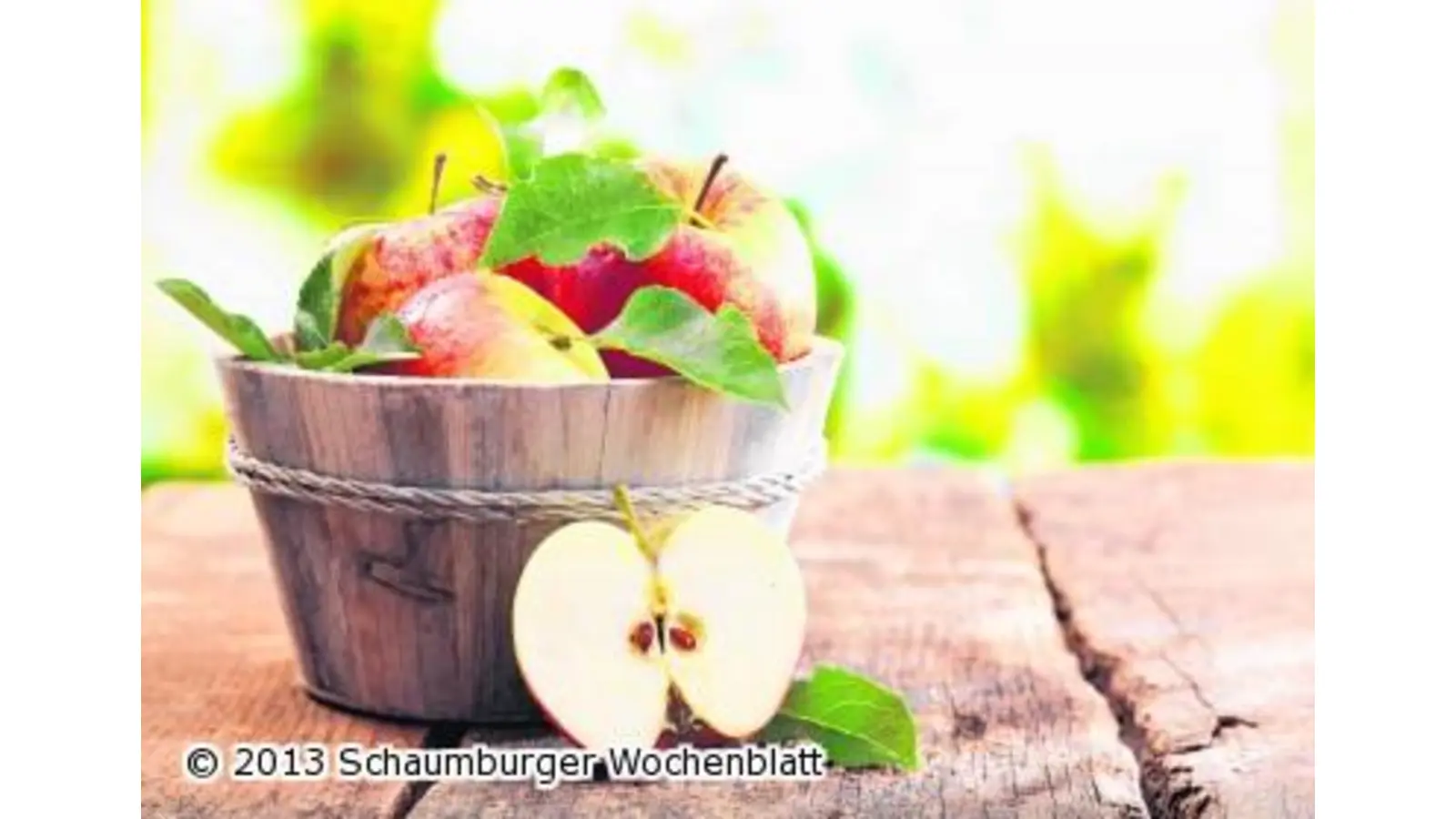 Stadthagen kommt aus dem Feiern nicht mehr heraus (Foto: red)