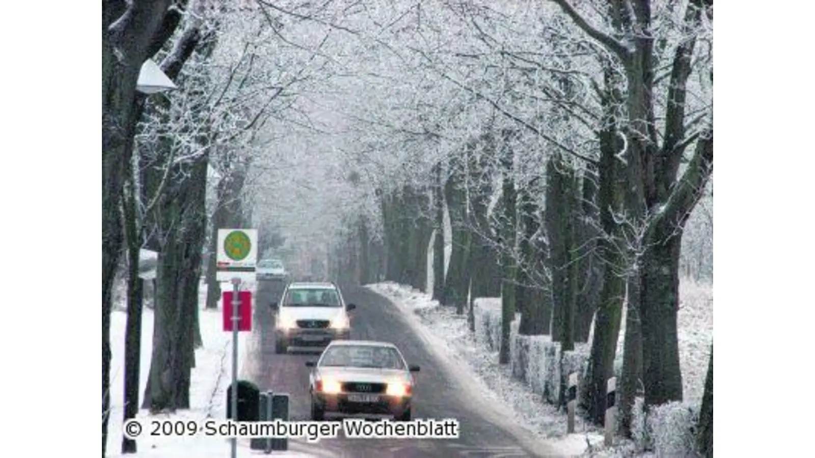 Wintermärchen mit klirrender Kälte (Foto: km)