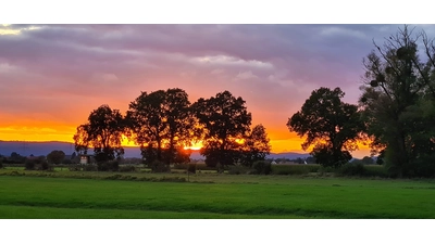 Entlang des Sigwardsweg. (Foto: privat)