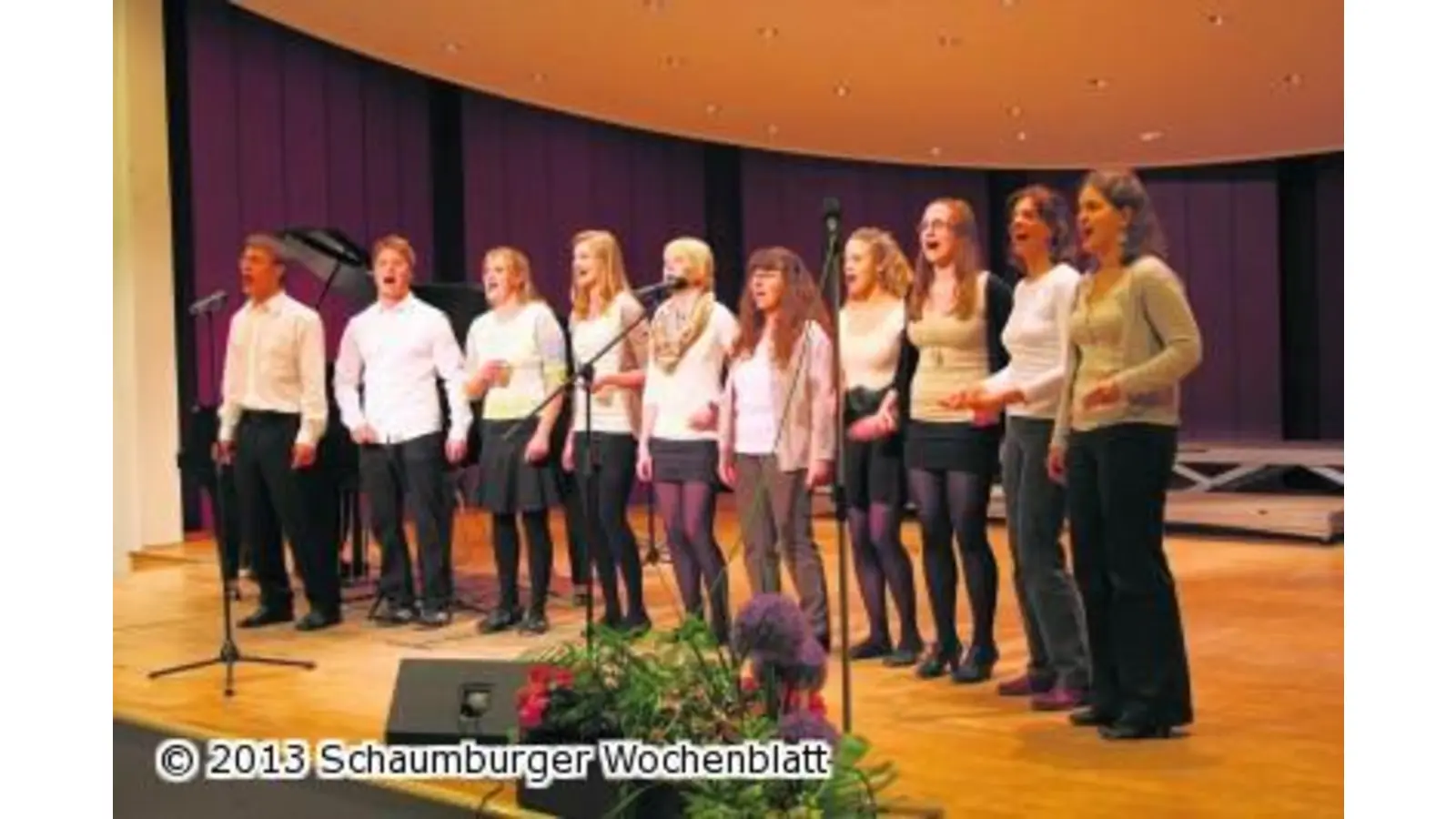 Großes Programm beim Konzert (Foto: pd)