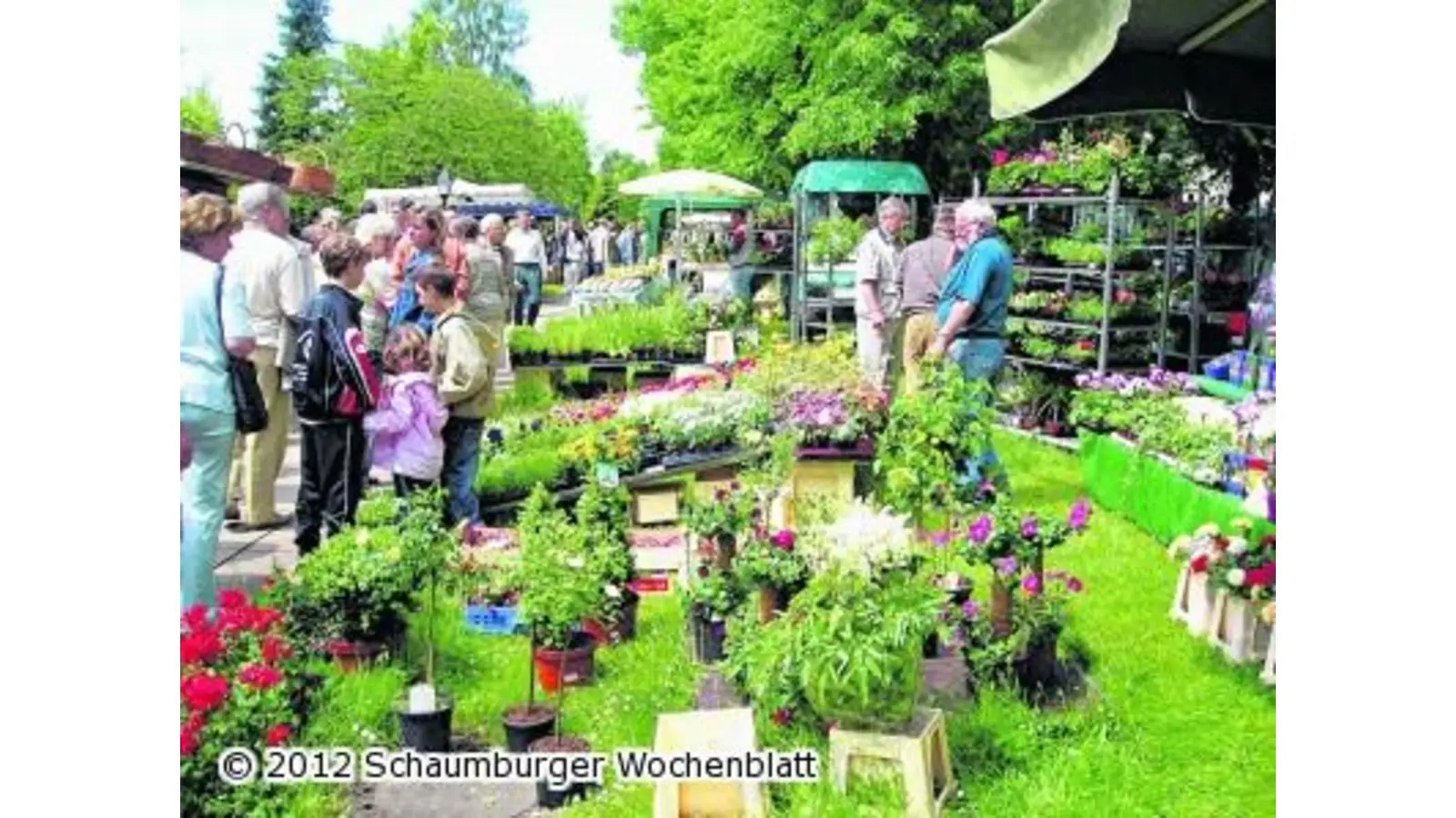 Bäuerliche Produkte und Handwerkskunst faszinieren (Foto: red)