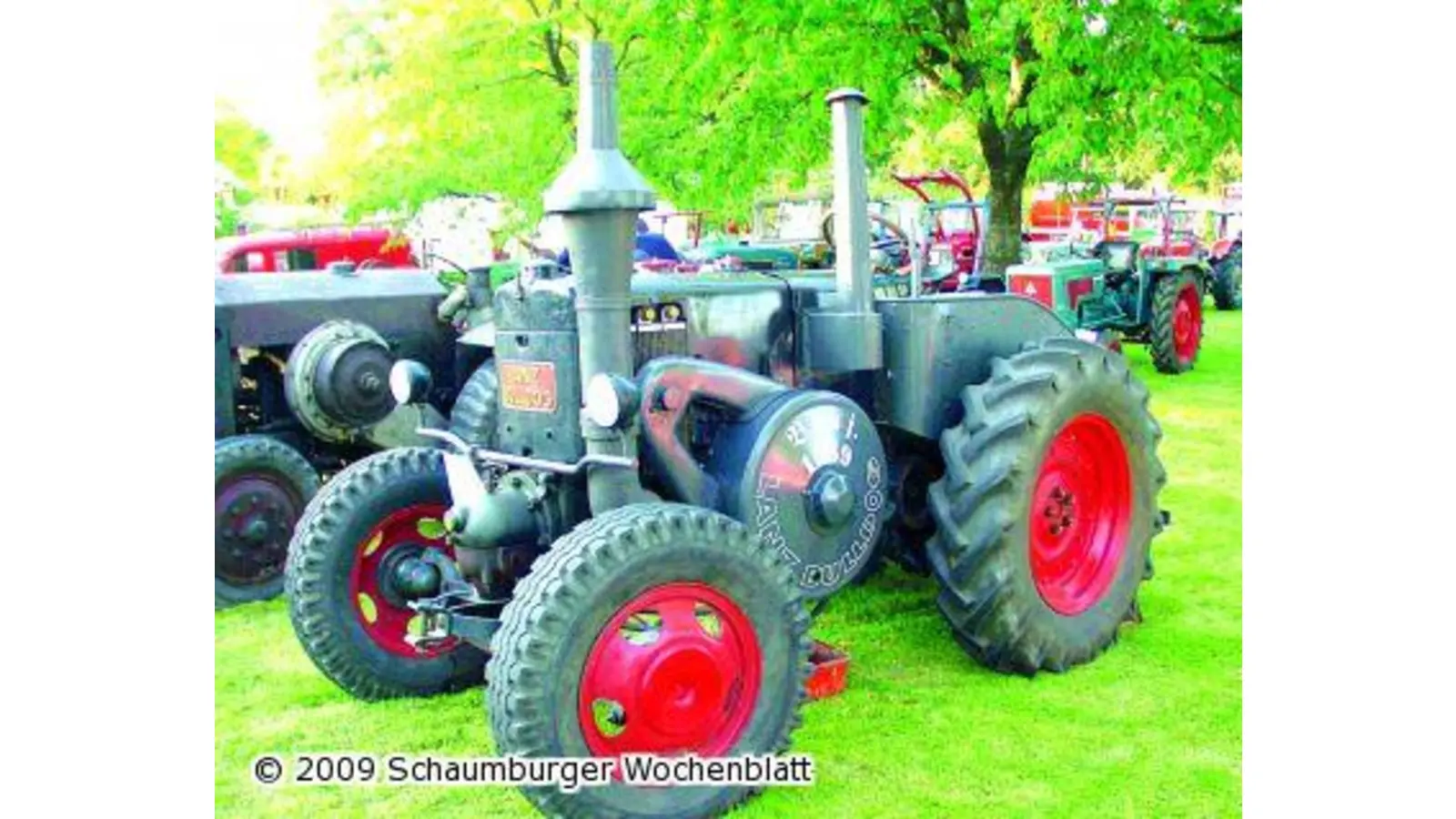 Oldtimer-Parade zum Jubiläum (Foto: tt)