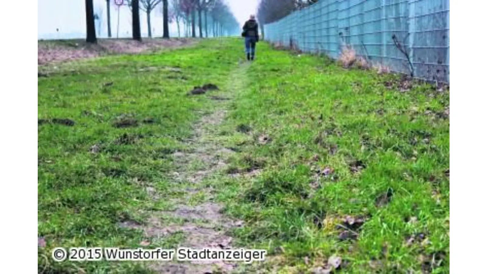 Neuer Radweg wird gebaut (Foto: tau)