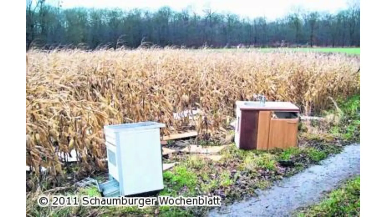 Illegale Müllentsorgung (Foto: hb)