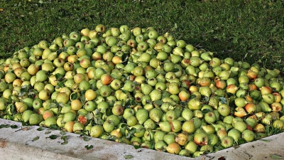 Jedermann kann Obst zum Mosten bringen. (Foto: pixabay)