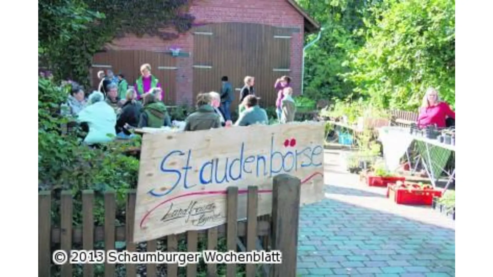 Alles was der Garten hergibt (Foto: gi)
