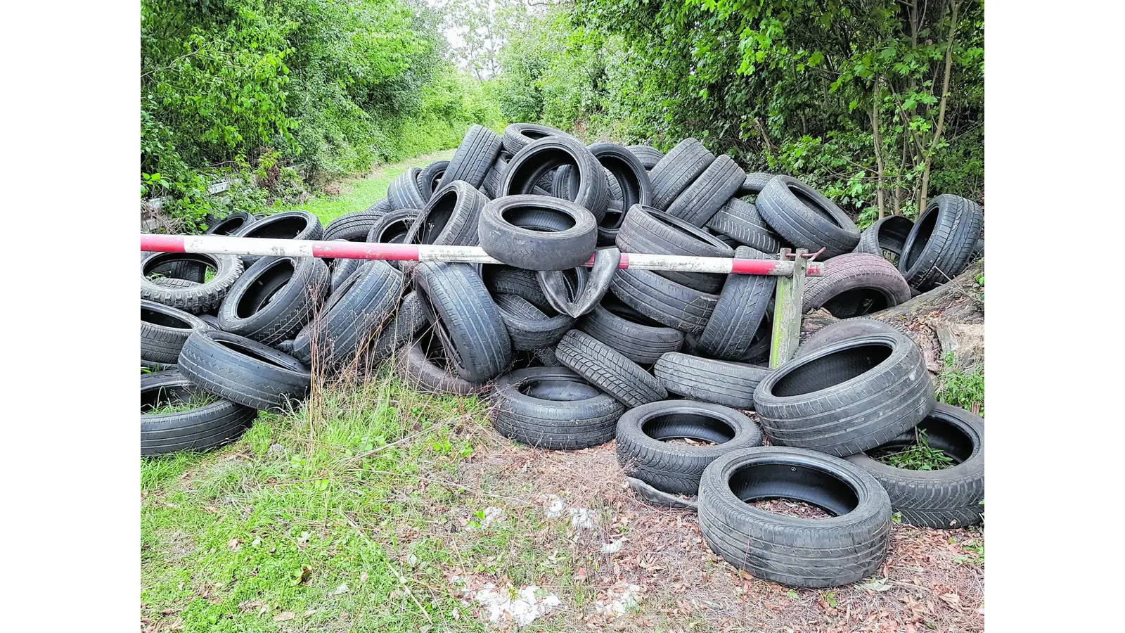 Erneut wurden Altreifen illegal entsorgt (Foto: nh)