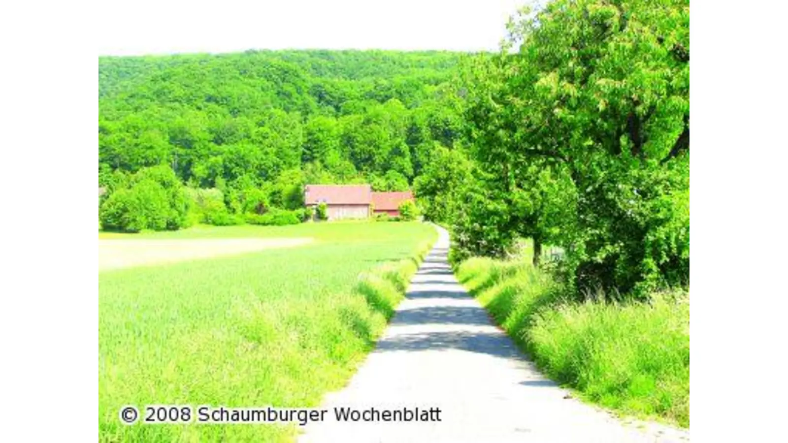 Grüne für einen drastischen Kurswechsel (Foto: km)