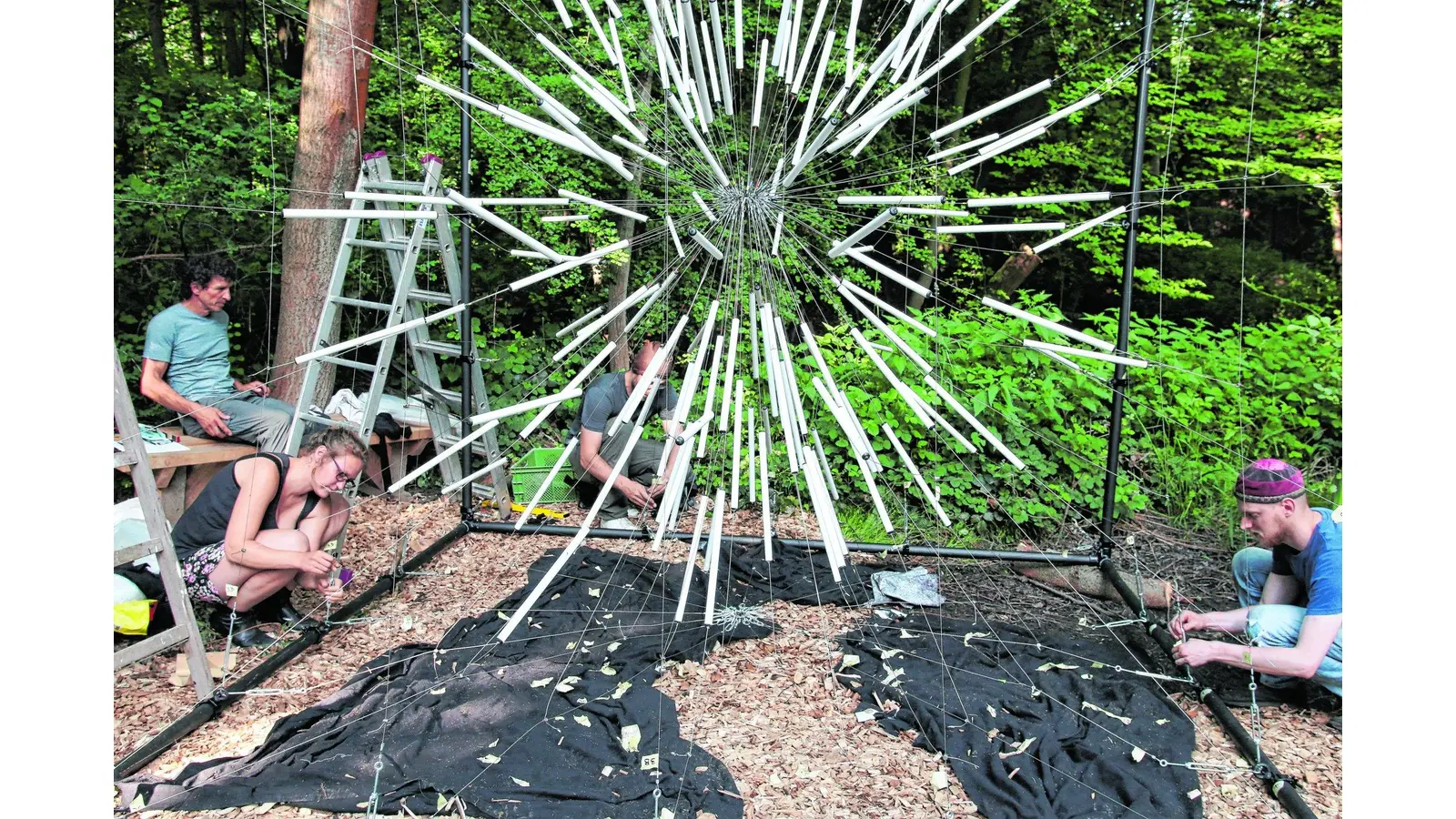 Eine zauberhafte Atmosphäre (Foto: red)