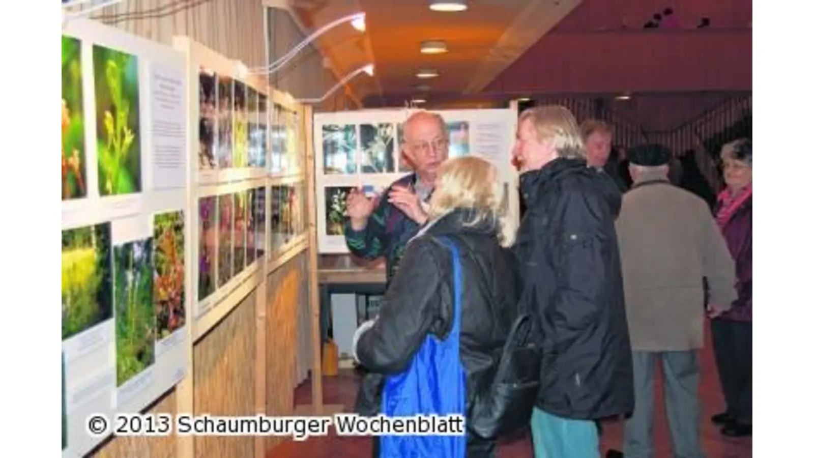 Duftende Orchidee ist die Zimmerpflanze Nummer eins (Foto: red)