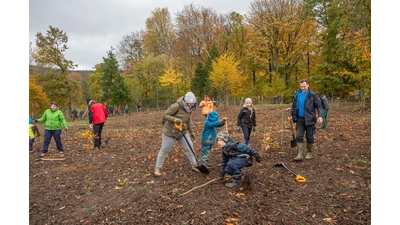 Viele Freiwillige helfen bei der Baumpflanzaktion mit (Foto: wk)