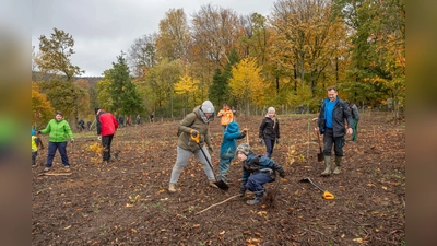 Viele Freiwillige helfen bei der Baumpflanzaktion mit (Foto: wk)
