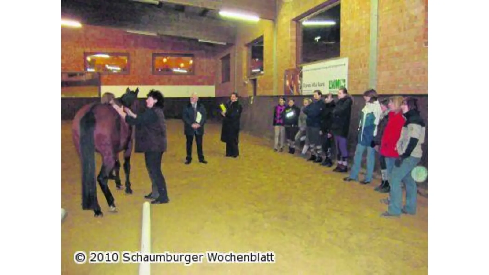 Auf dem Rücken der Pferde sein (Foto: em)