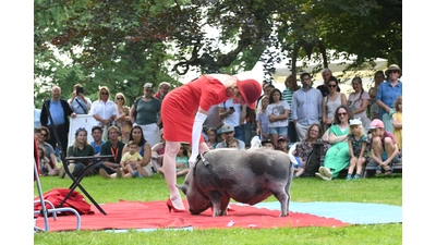 Drei Tage lang verwandelte sich das Rittergut Remeringhausen in ein Paradies für Garten- und Kunstliebhaber: Das beliebte Fest „Romantic Garden“ feierte seinen 25. Geburtstag. Bei strahlendem Sommerwetter strömten zahlreiche Besucherinnen und Besucher auf das idyllische Gutsgelände, um ein abwechslungsreiches Programm aus Ausstellungen, Musik und kulinarischen Angeboten zu genießen. Die gut gelaunten Gäste und das hervorragende Wetter sorgten für beste Stimmung, und auch die Aussteller zeigten sich rundum zufrieden. (Foto: nd)