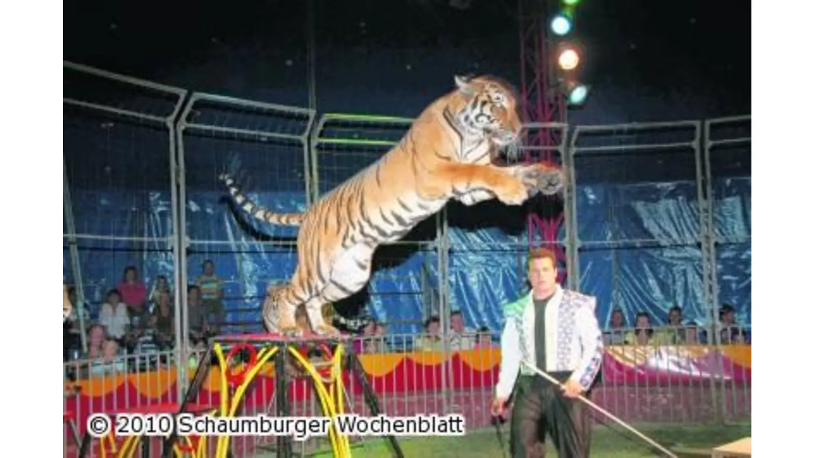 Manege frei für Clowns und Akrobaten (Foto: mh)