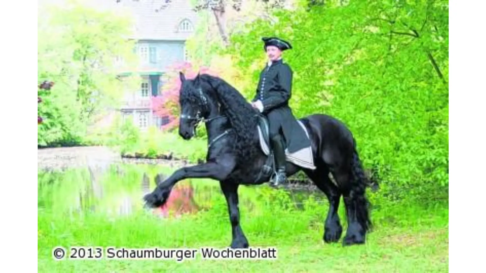 Reitkunst auf höchstem Niveau (Foto: red)