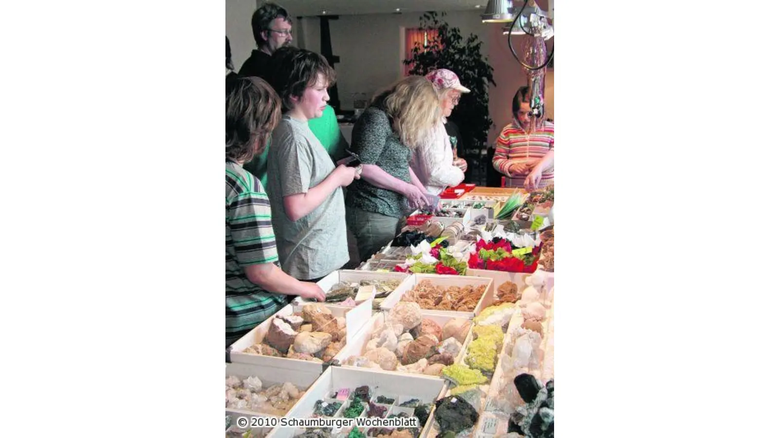 Ein blauer Aquamarin ist der Star der Mineralien-Börse (Foto: red)