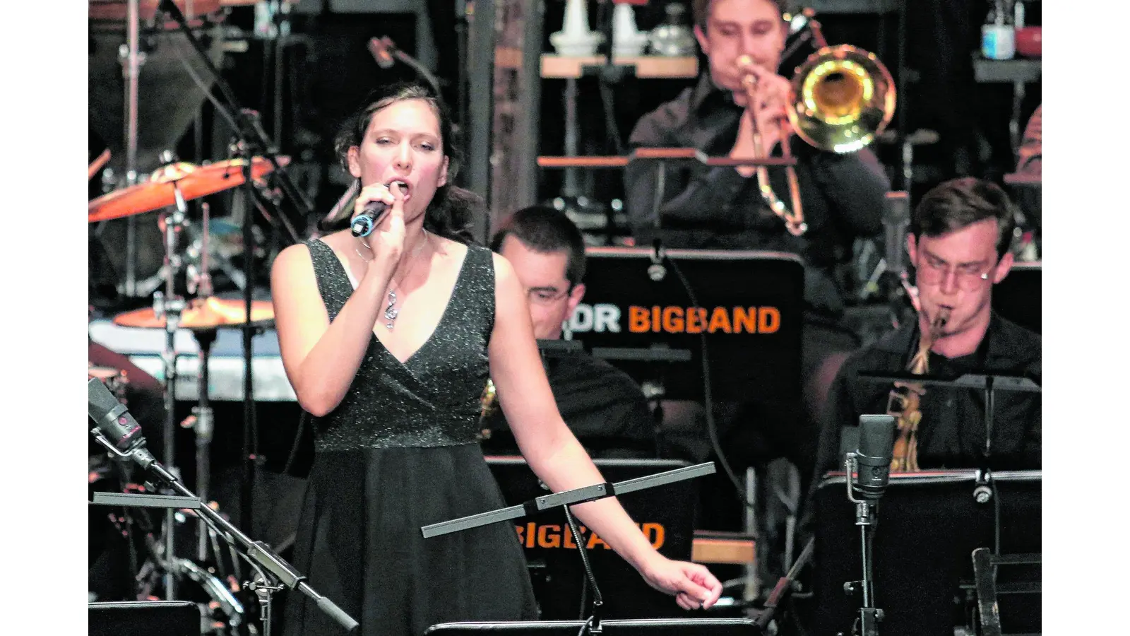 Satter Bigband-Sound fasziniert (Foto: bb)