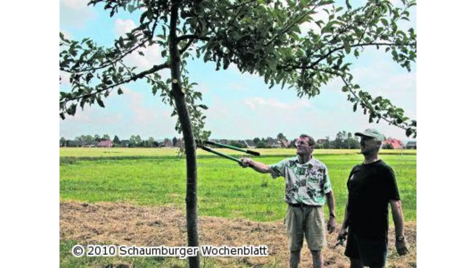 Kostenloser Kurs des NABU in Obstbaumpflege (Foto: mk)