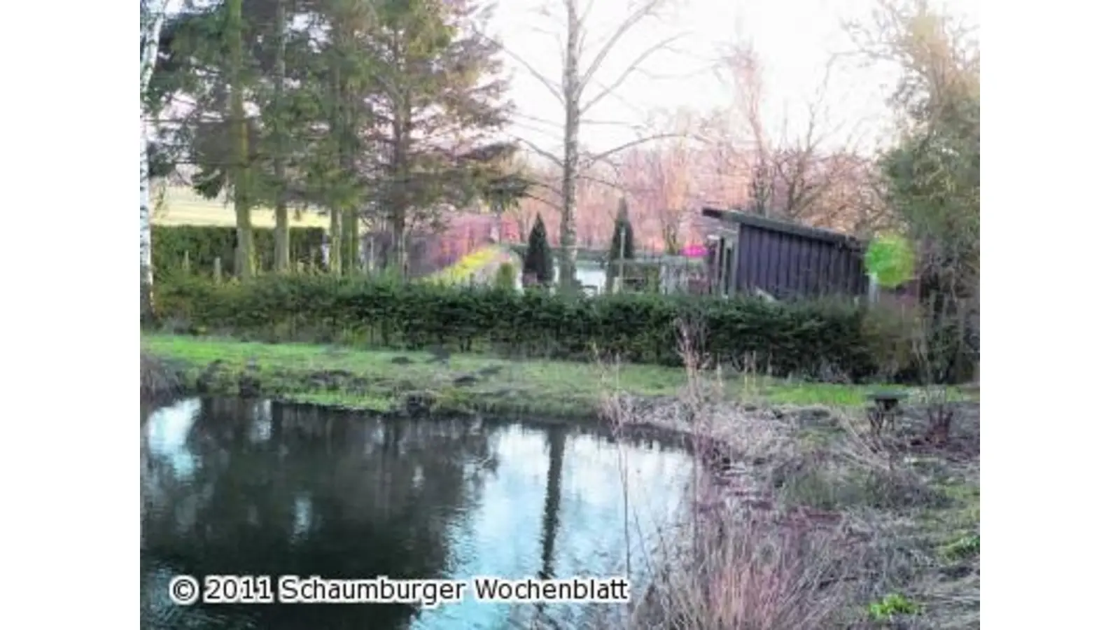 Das Schwarzwild wird zur Plage (Foto: al)