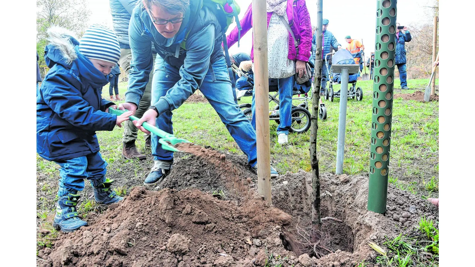 Bäume mit großem emotionalen Potential (Foto: red)