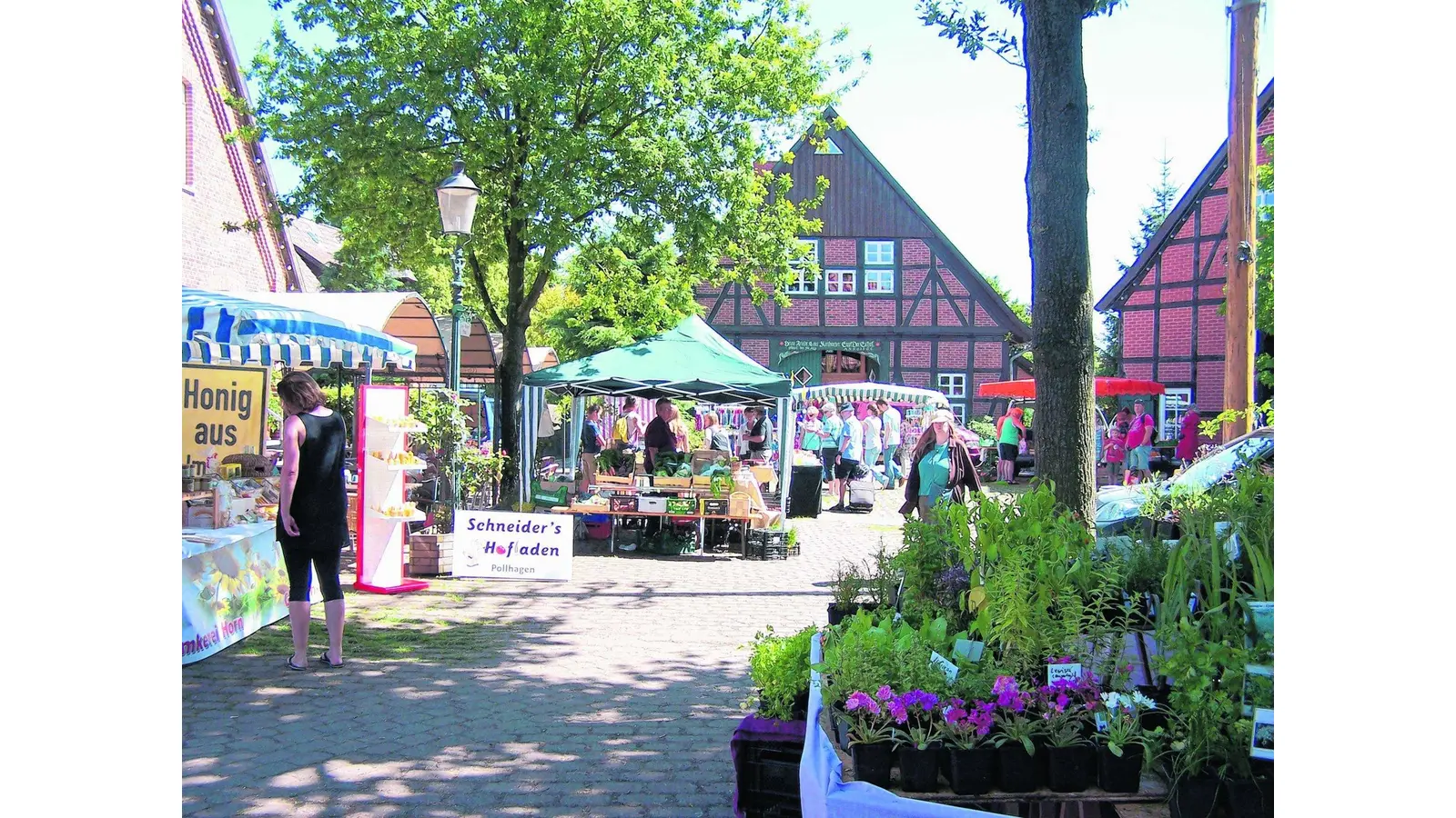 Kreativer Bauernmarkt mit regionalen Produkten (Foto: mk)