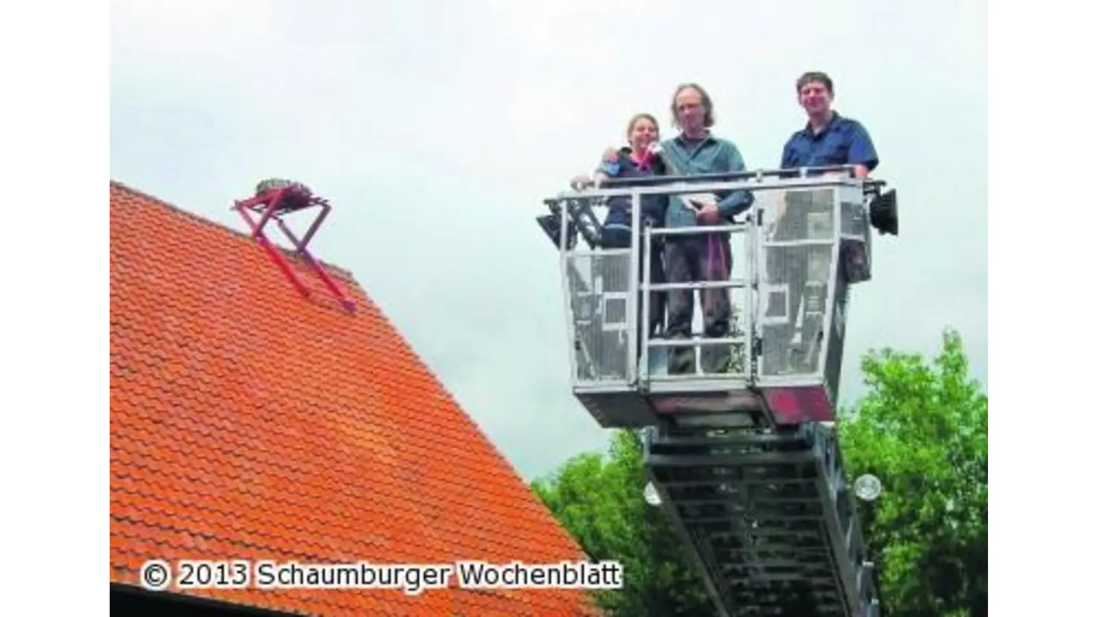 Neues Nest auf dem Storchenhof (Foto: red)