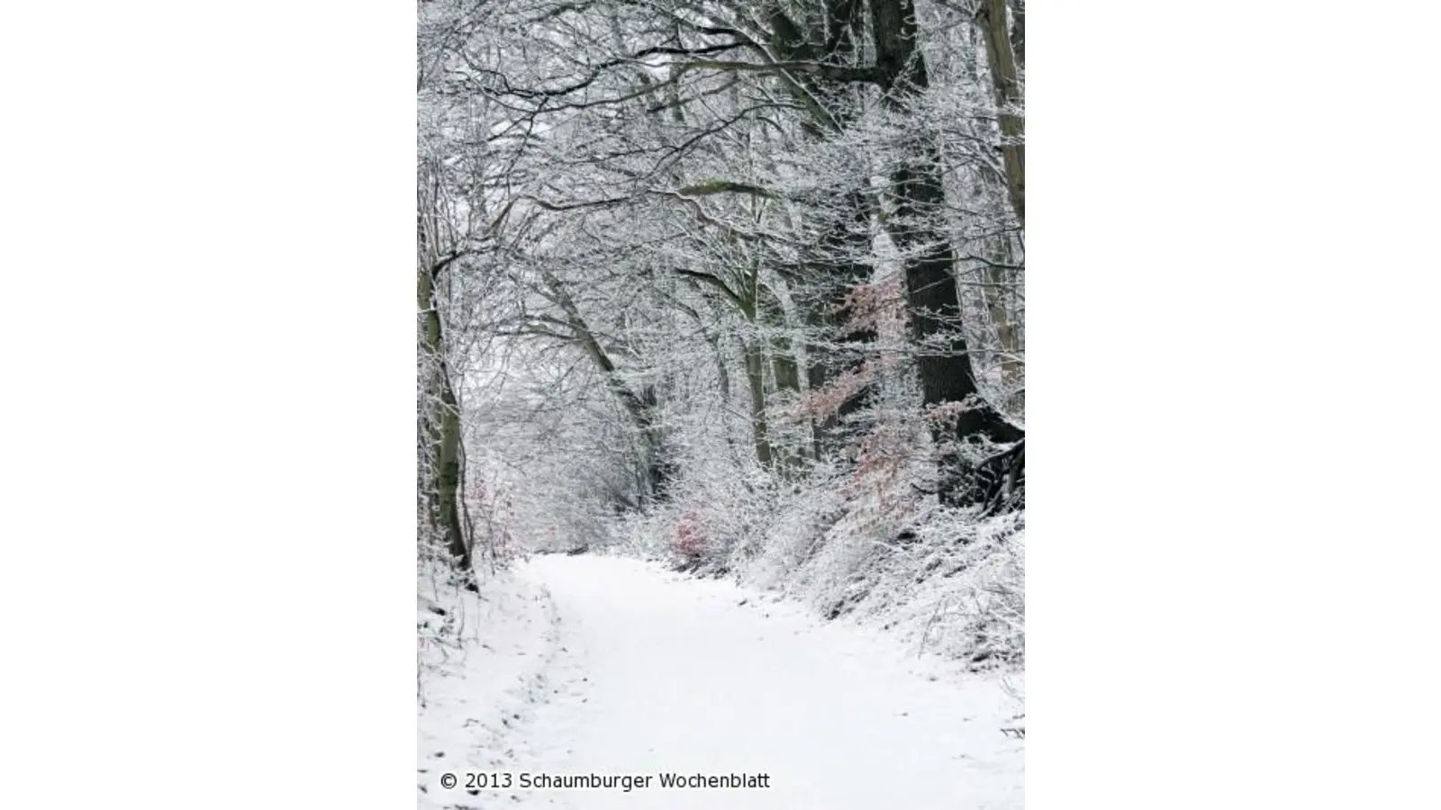 Der berühmt-berüchtigte März (Foto: jl)