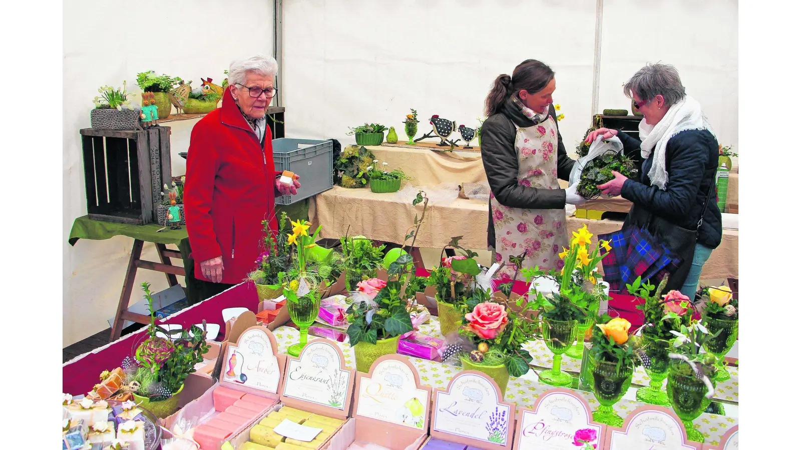 Den Frühling farbenfroh und rasant begrüßen (Foto: jl)