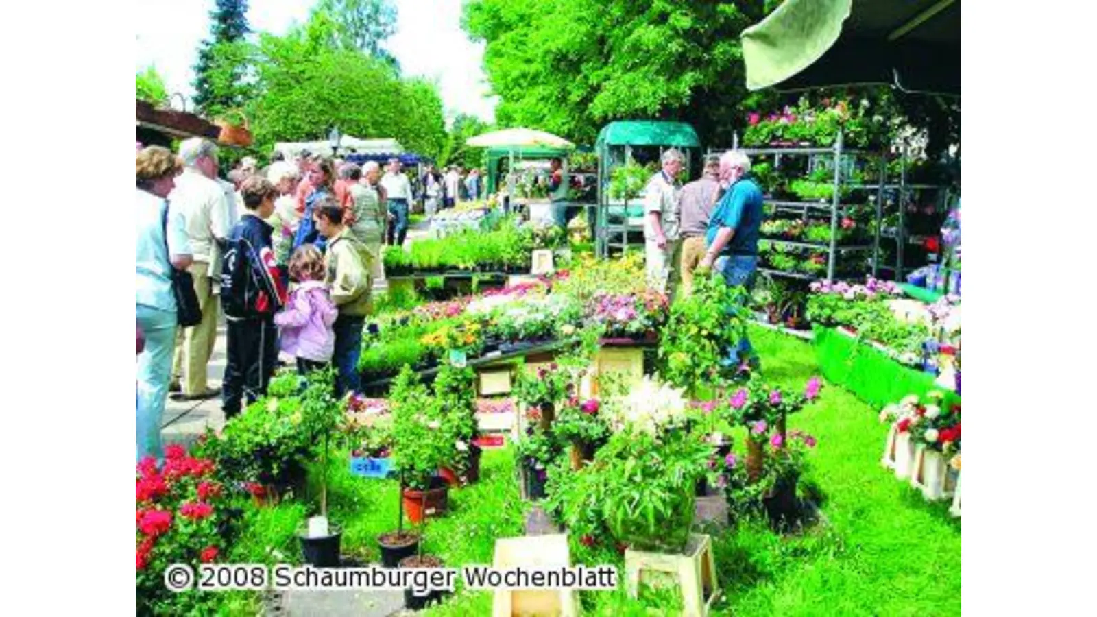 Alles was das Herz begehrt (Foto: red)