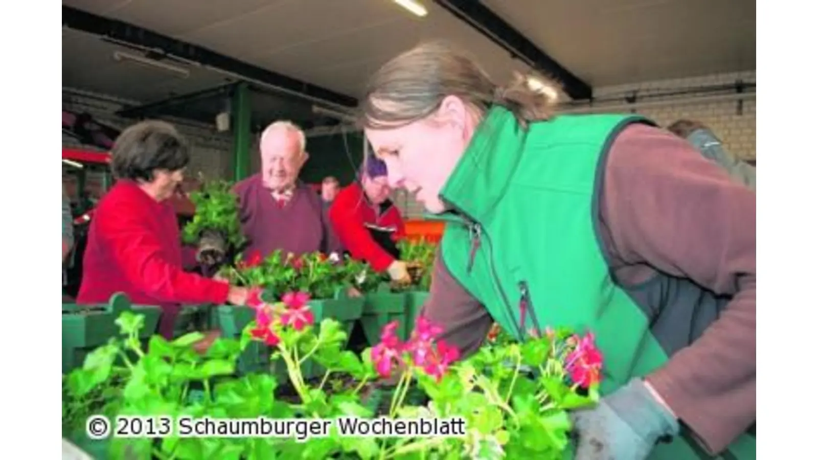 Weihrauch und Geranien schmücken die Innenstadt (Foto: wa)