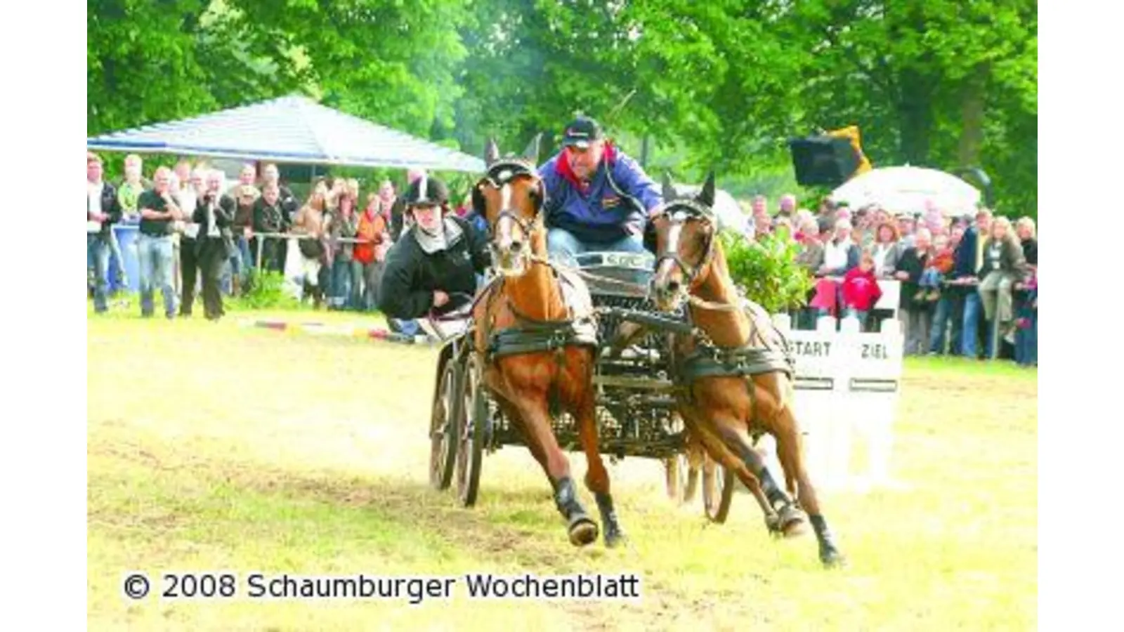 Edle Pferdestärken vor der Kutsche und unter der Haube (Foto: bb)