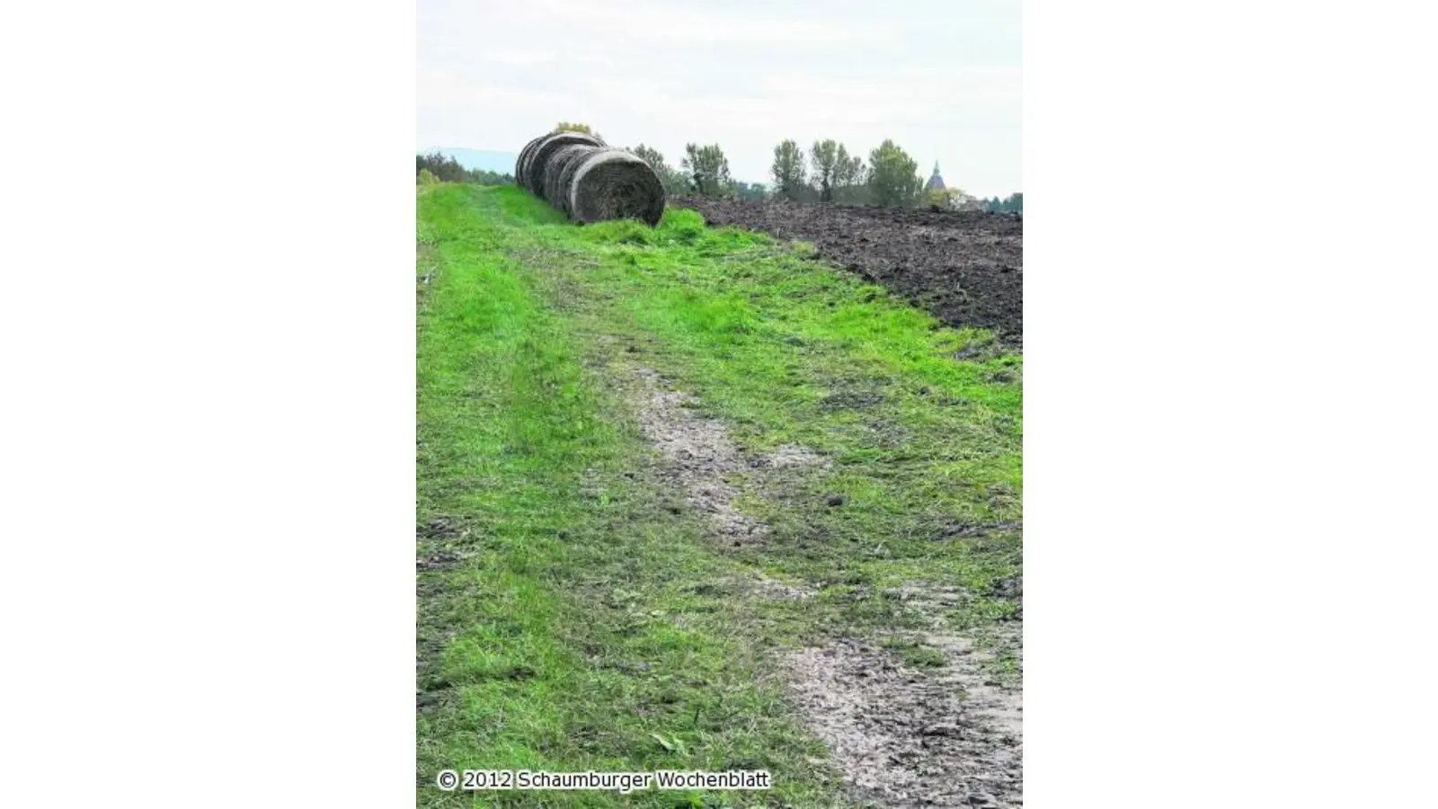 Weg ohne Aufwand schaffen (Foto: al)