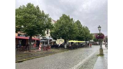 Die Bäume sollen erhalten bleiben, doch da muss nun etwas für geschehen. (Foto: nd)