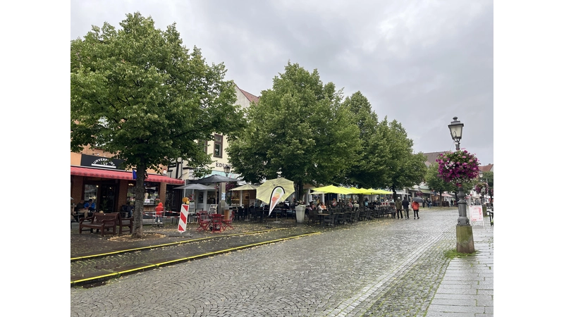 Die Bäume sollen erhalten bleiben, doch da muss nun etwas für geschehen. (Foto: nd)