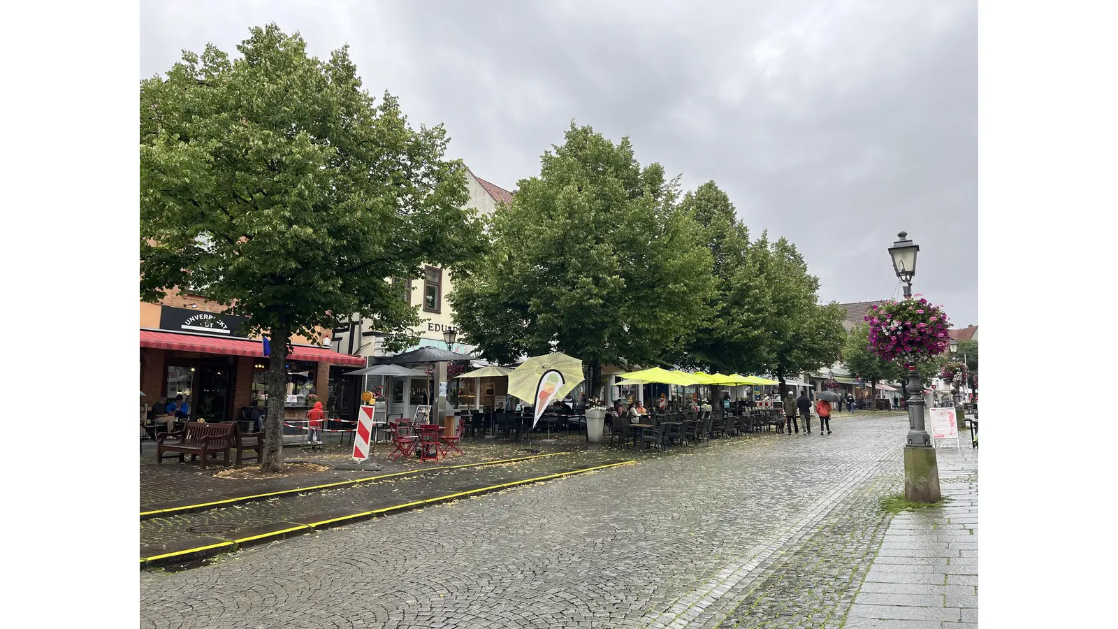 Die Bäume sollen erhalten bleiben, doch da muss nun etwas für geschehen. (Foto: nd)
